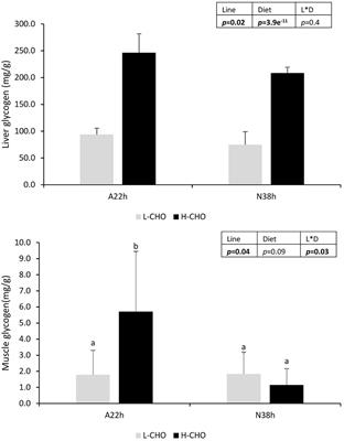 Regulation by Dietary Carbohydrates of Intermediary Metabolism in Liver and Muscle of Two Isogenic Lines of Rainbow Trout